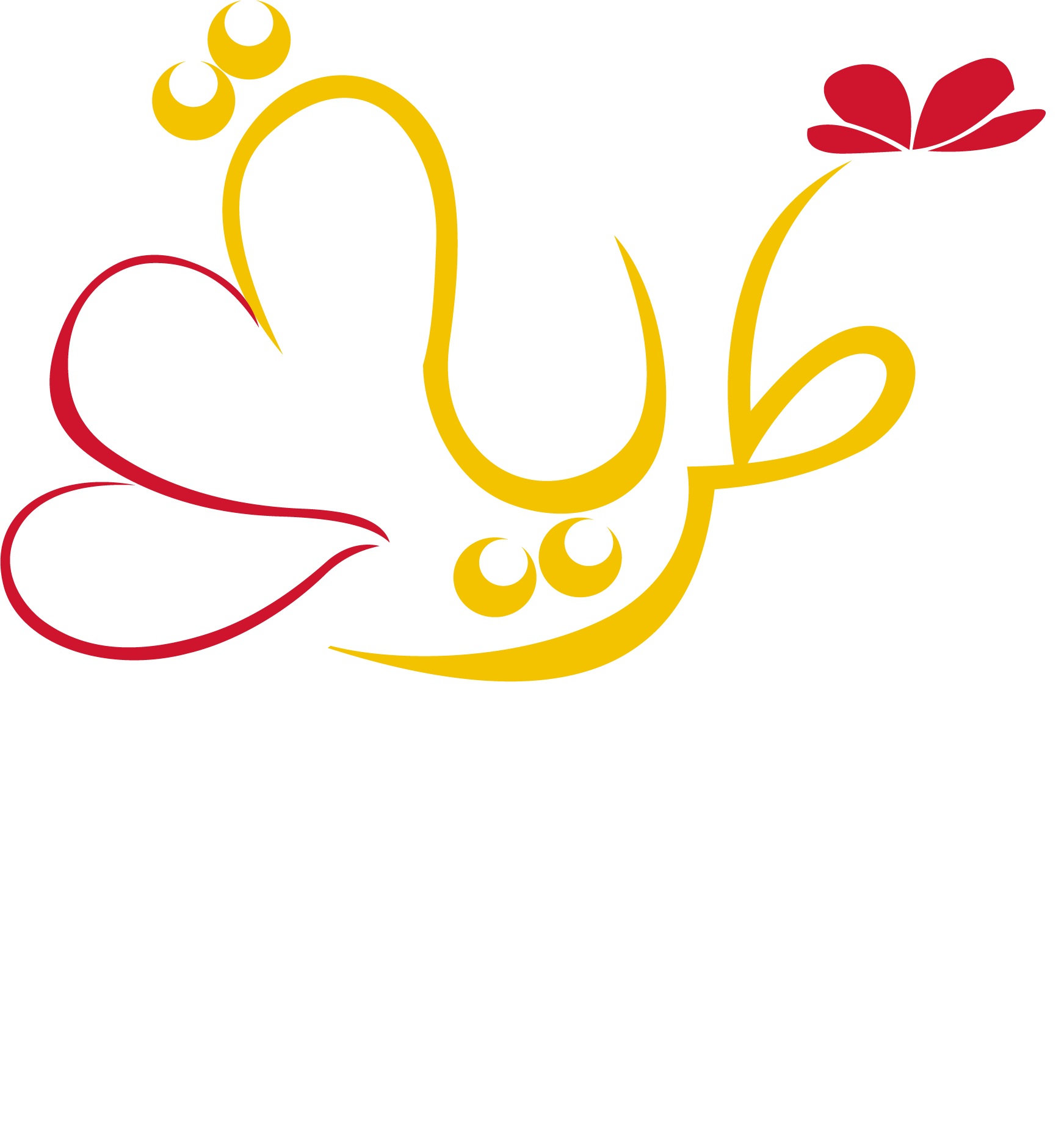 دواجن طرية